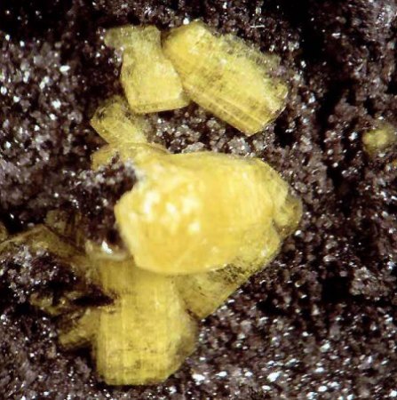 Binghamit und seine steinigen Mitbewohner