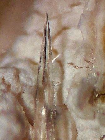 Geologische Vielfalt bei Erbendorf