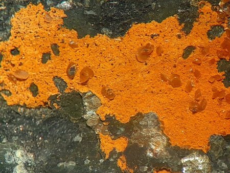 Geologische Vielfalt bei Erbendorf