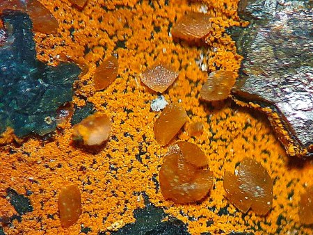 Geologische Vielfalt bei Erbendorf