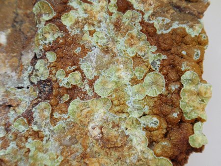 Kieselschieferbrüche Altmannsgrün