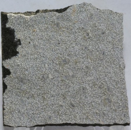 Hochberg bei Nieder-Ofleiden