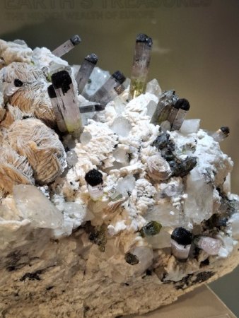 MineralienTage München/Riem