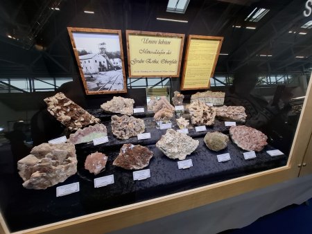 MineralienTage München/Riem