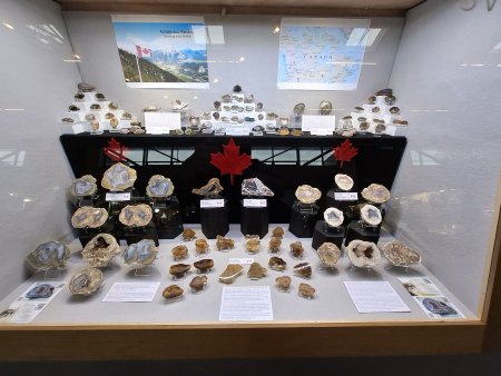 MineralienTage München/Riem