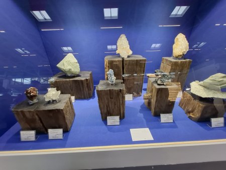 MineralienTage München/Riem