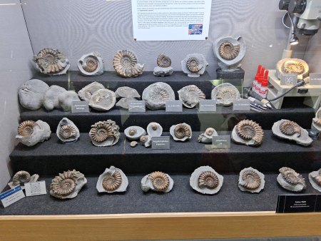 MineralienTage München/Riem