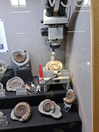 MineralienTage München/Riem