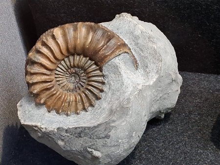 MineralienTage München/Riem