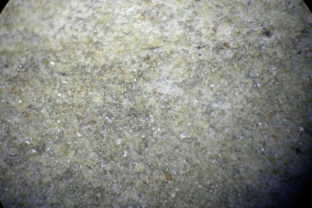 Artefakt oder Fossil?