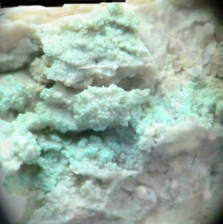 Mikromount-Auswahl aus Sammlung McSchuerf