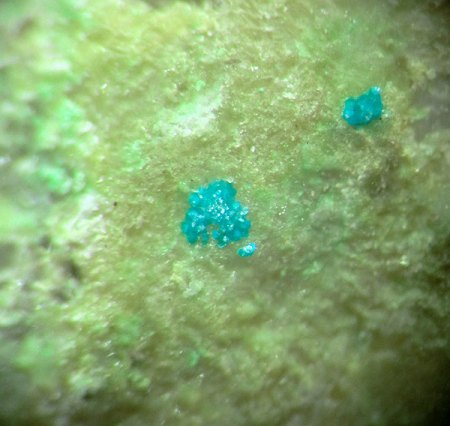 Mikromount-Auswahl aus Sammlung McSchuerf