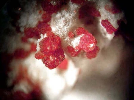 Mineralienkabinett McSchuerf