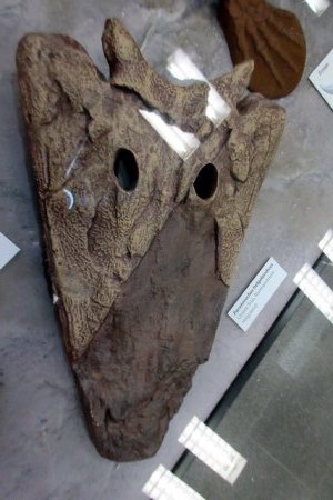 Riesenlurche aus Ebrach