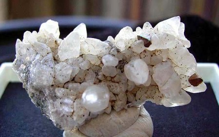 Gelände- bzw. Eigenfunde McSchuerf