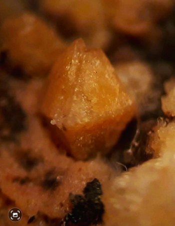 Teichelberg bei Pechbrunn