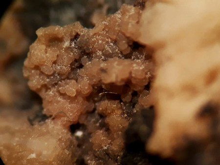 Teichelberg bei Pechbrunn