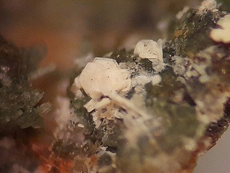 Teichelberg bei Pechbrunn