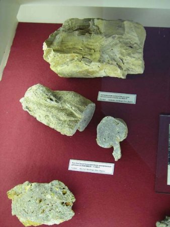 Die Welt der Meteorite – Zeugen der Entstehung d. Universums