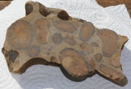 Österreich - Konglomerate - Kundler Klamm