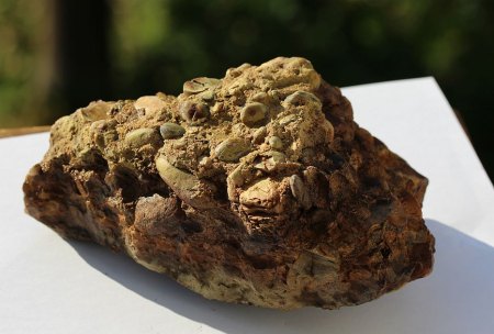 Österreich - Konglomerate - Kundler Klamm