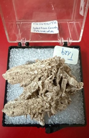 USA - Sonstige Staaten und Fundorte