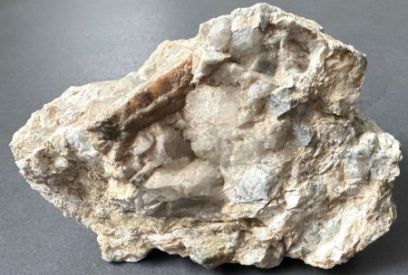 Exkursion am Silberberg