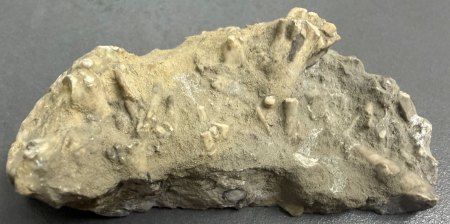 Schweiz - Sonstige Schweiz (ohne Binntal)