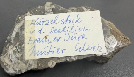 Schweiz - Sonstige Schweiz (ohne Binntal)