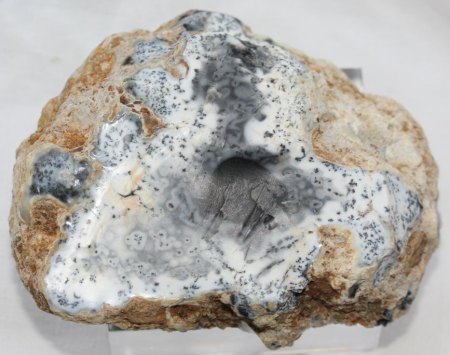 Dendritic, Psilomelan, Merlinit, Türkey 162g