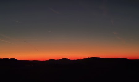 Bilder von Fauna und Flora