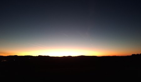 Bilder von Fauna und Flora