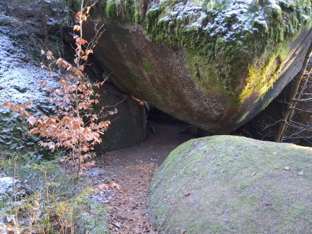 Bilder von Fauna und Flora