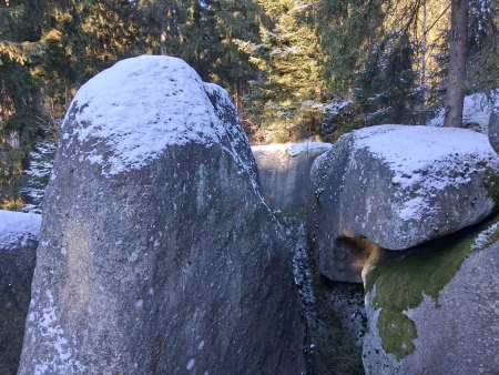 Bilder von Fauna und Flora