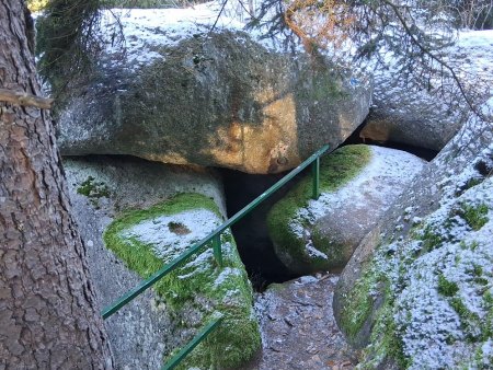 Bilder von Fauna und Flora