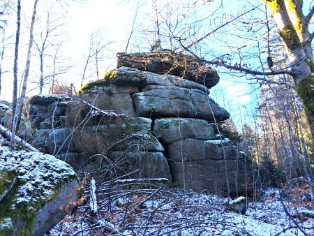 Bilder von Fauna und Flora