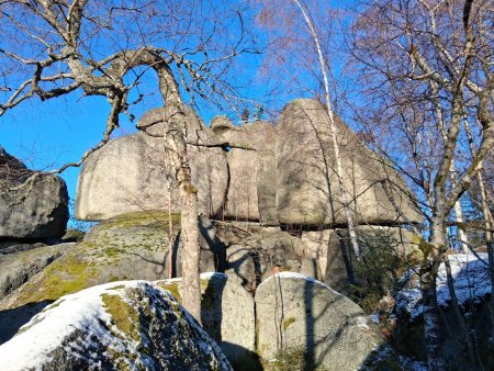 Bilder von Fauna und Flora