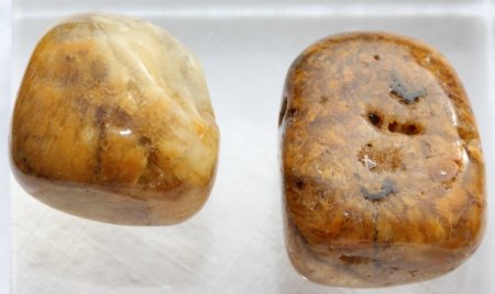 England - Schottland - Wales