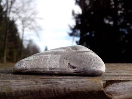 Binghamit und seine steinigen Mitbewohner