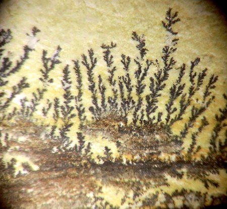 Binghamit und seine steinigen Mitbewohner