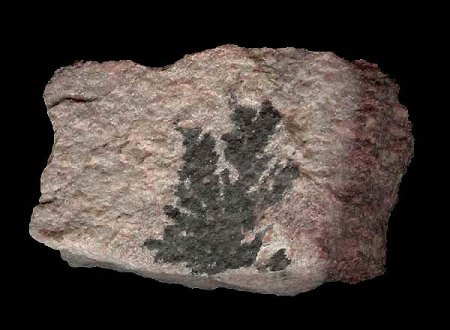 Binghamit und seine steinigen Mitbewohner