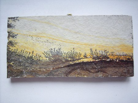 Binghamit und seine steinigen Mitbewohner