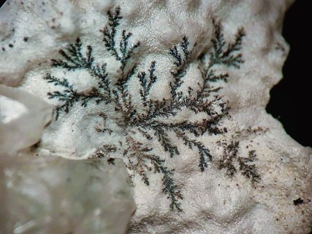 Binghamit und seine steinigen Mitbewohner