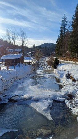 Bilder von Fauna und Flora