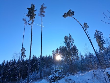 Bilder von Fauna und Flora