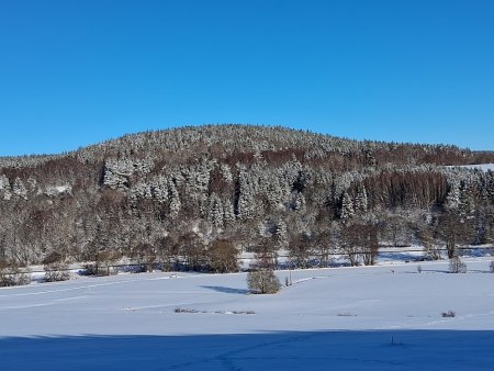 Bilder von Fauna und Flora