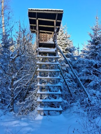 Bilder von Fauna und Flora