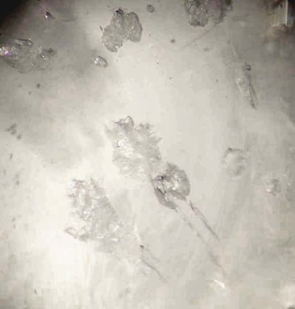 Pakistan und Afghanistan