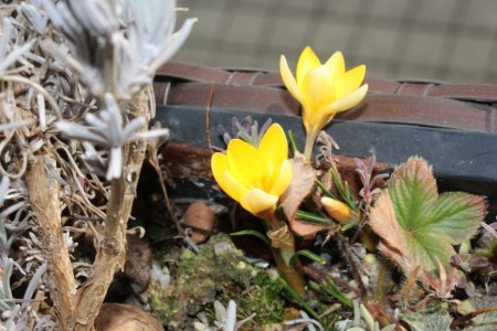 Bilder von Fauna und Flora