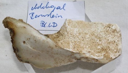 Österreich - Burgenland